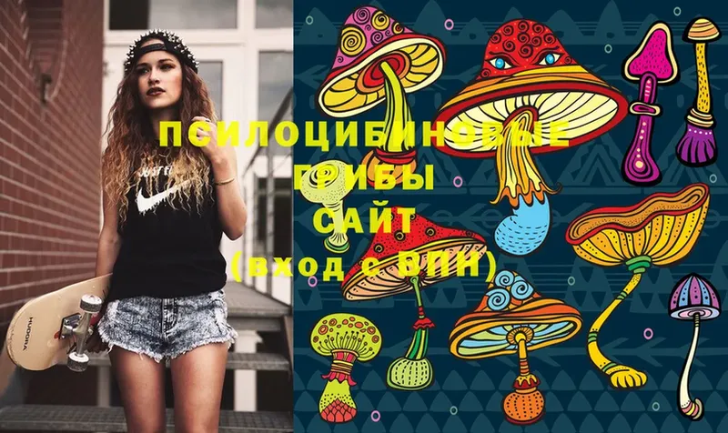 omg ССЫЛКА  Дмитровск  Псилоцибиновые грибы Cubensis 