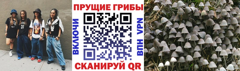 Псилоцибиновые грибы мухоморы  Дмитровск 